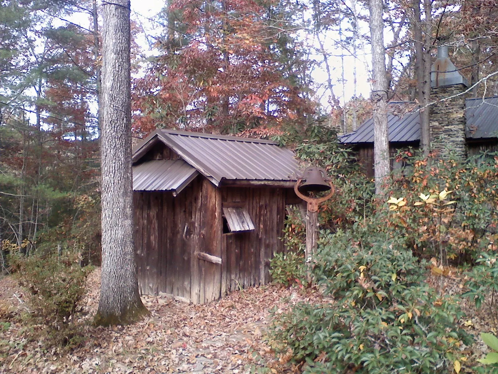 Small metal roof on a rough sawn shed in the woods in Ukiah