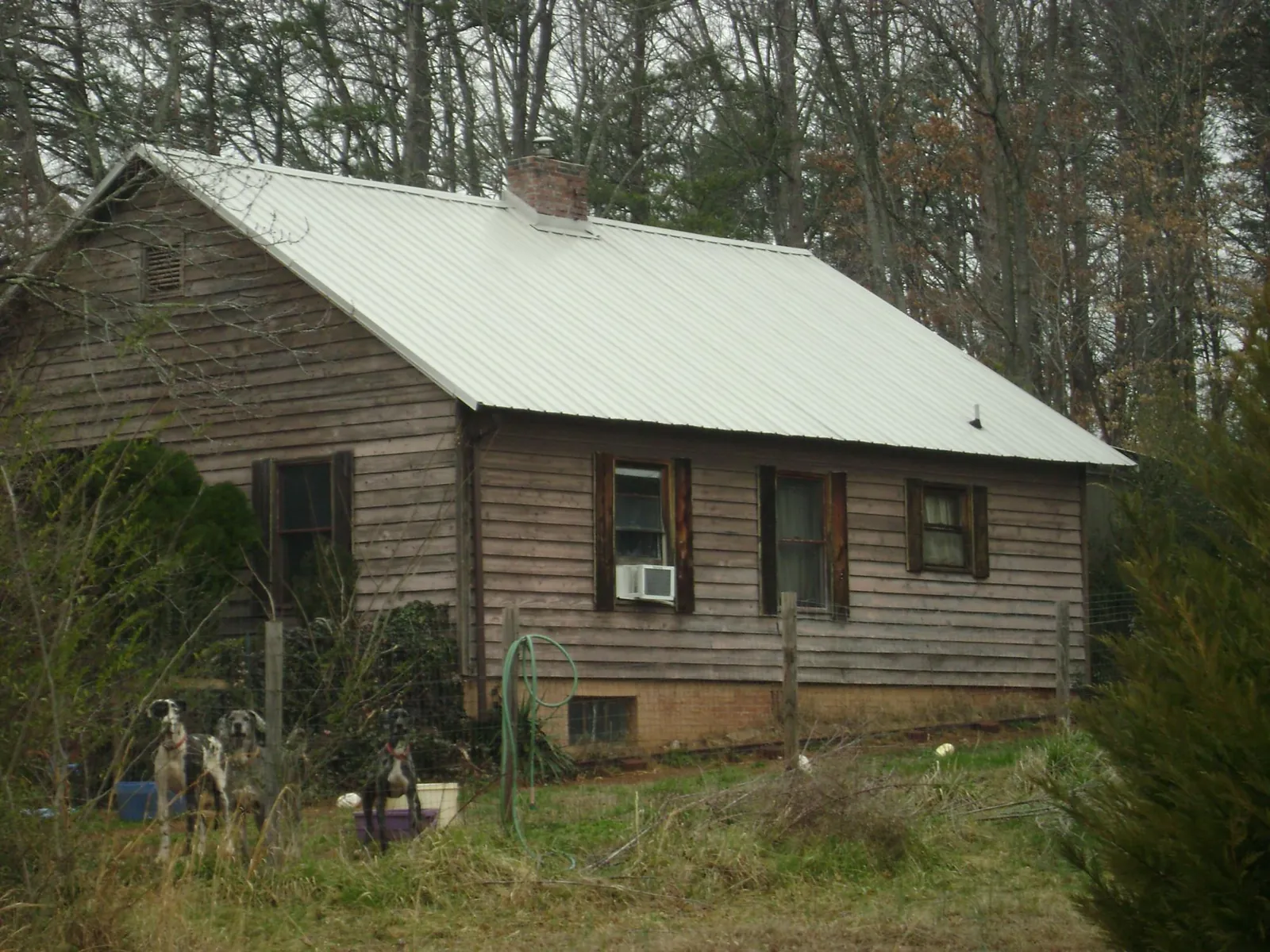 White metal roof on an old wood sided farmhouse, from a Asphalt Shingle Roof Repair job in Ukiah